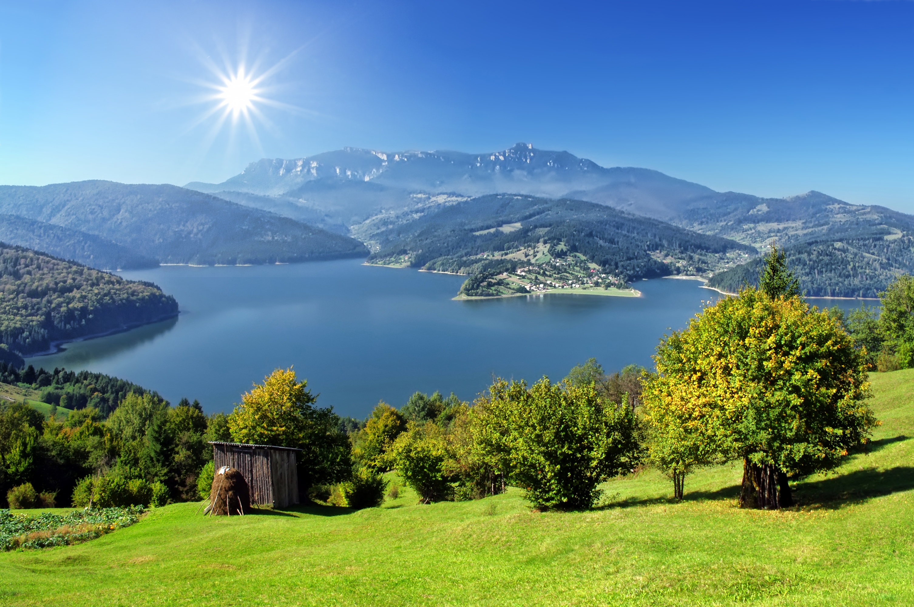 What A Landscape Contractor Can Do For You