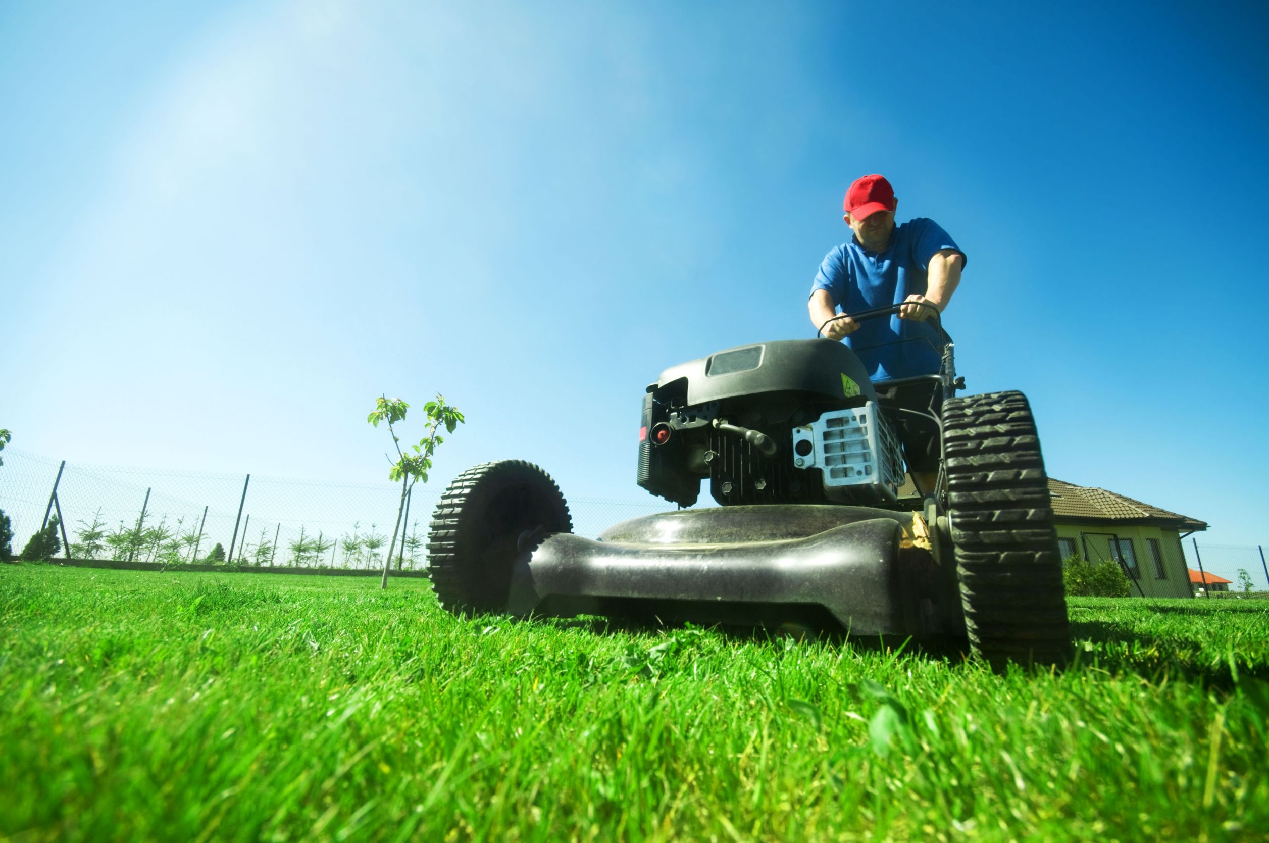 Complete Lawn Care In Waukesha WI