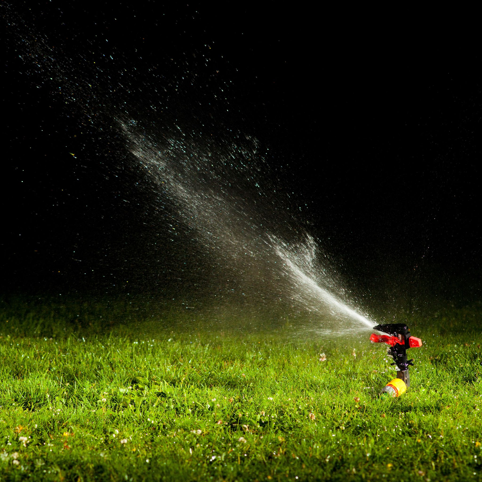 Why Having Professional Sprinkler Blowouts in Broomfield CO is Important