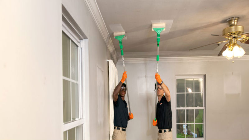 3 Reasons Why Homeowners Rely on Expert Mold Removal in Westfield NJ