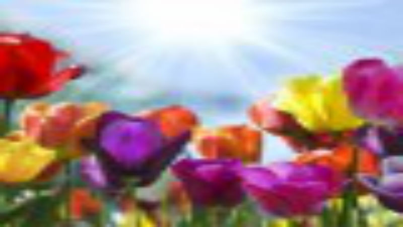 Cascade Memorial Offers Extremely Affordable Funeral Choices in Bellevue