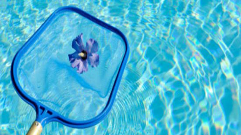 The Reasons for Professional Pool Maintenance in Pearland