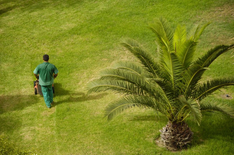 Homeowner Questions Answered About Professional Yard Maintenance In Boulder CO