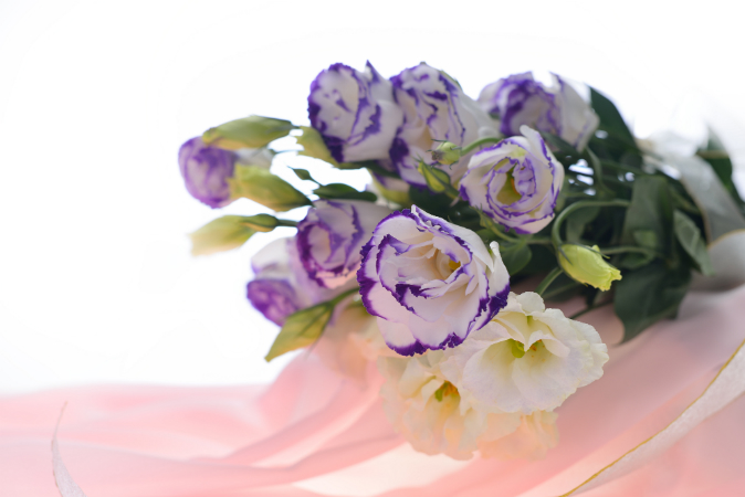 Send Flowers to Delhi for Any Occasion