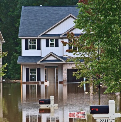 Comprehensive Solutions for Crawl Space Sewage Clean Up in Everett, WA