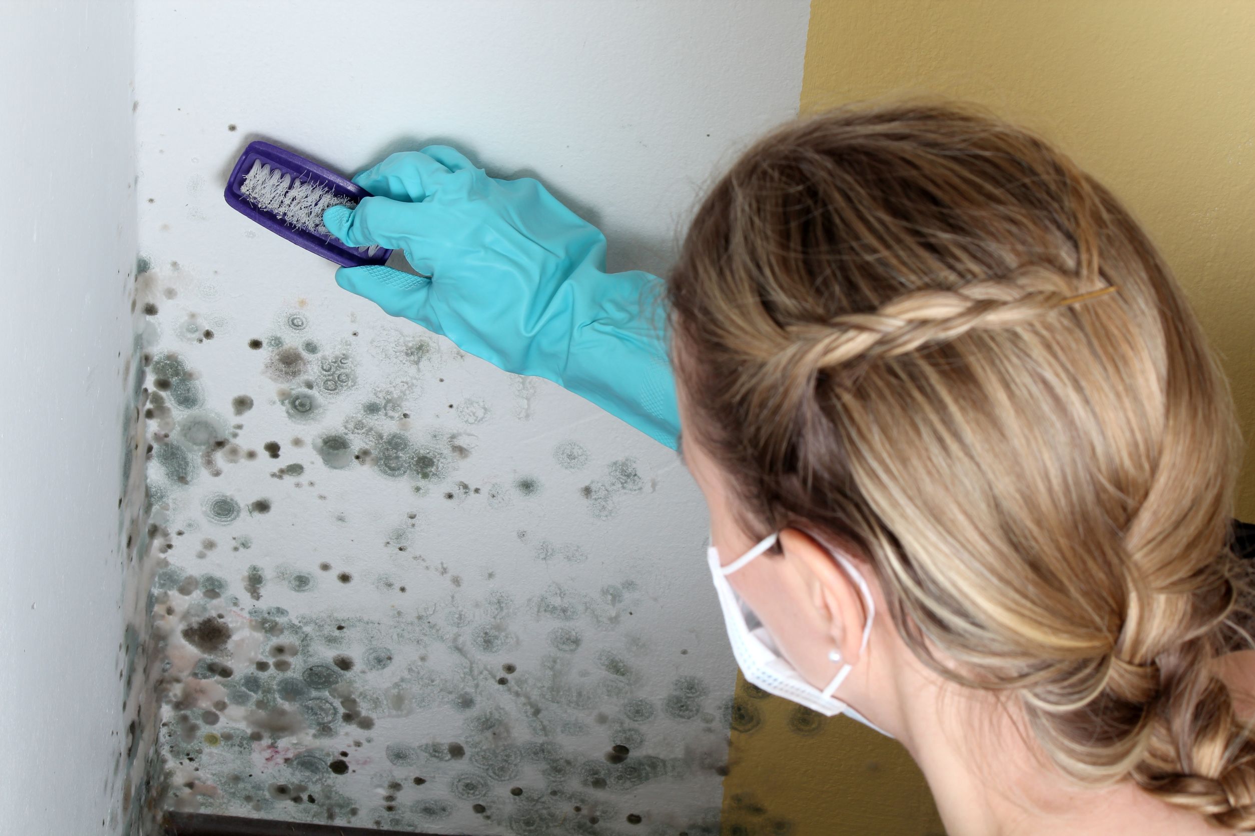 Essential Steps to Handle Sewage Water Damage in Portage, MI, Homeowners Should Know