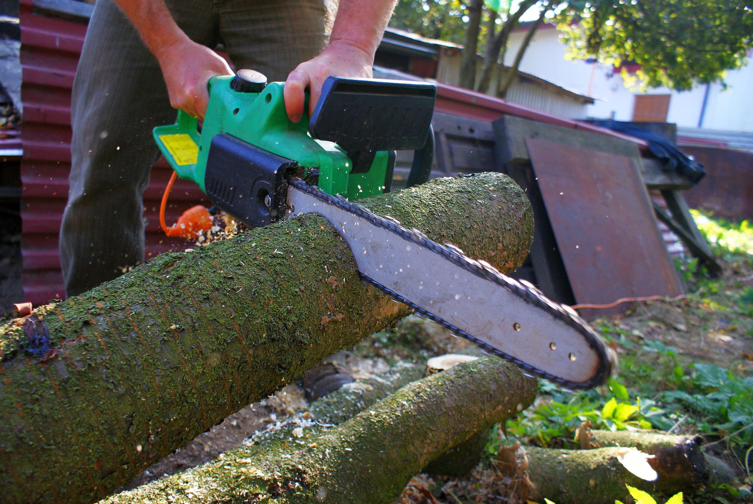 Provide Your Trees with the Care They Require with an Expert Trimming Service