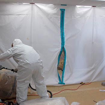 Things to Know About Mold Removal in Ashburn, VA