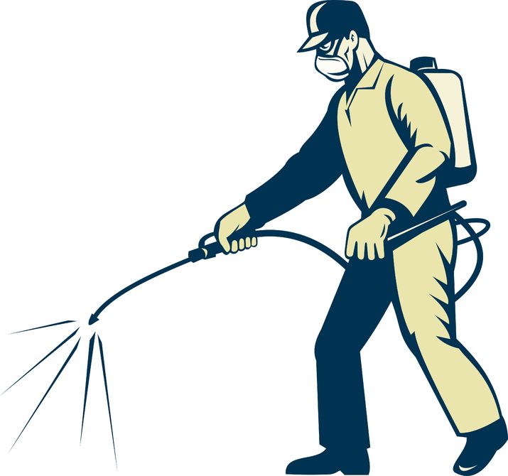 A Professional Exterminator in Baltimore MD Helps Rid Homes of Fleas
