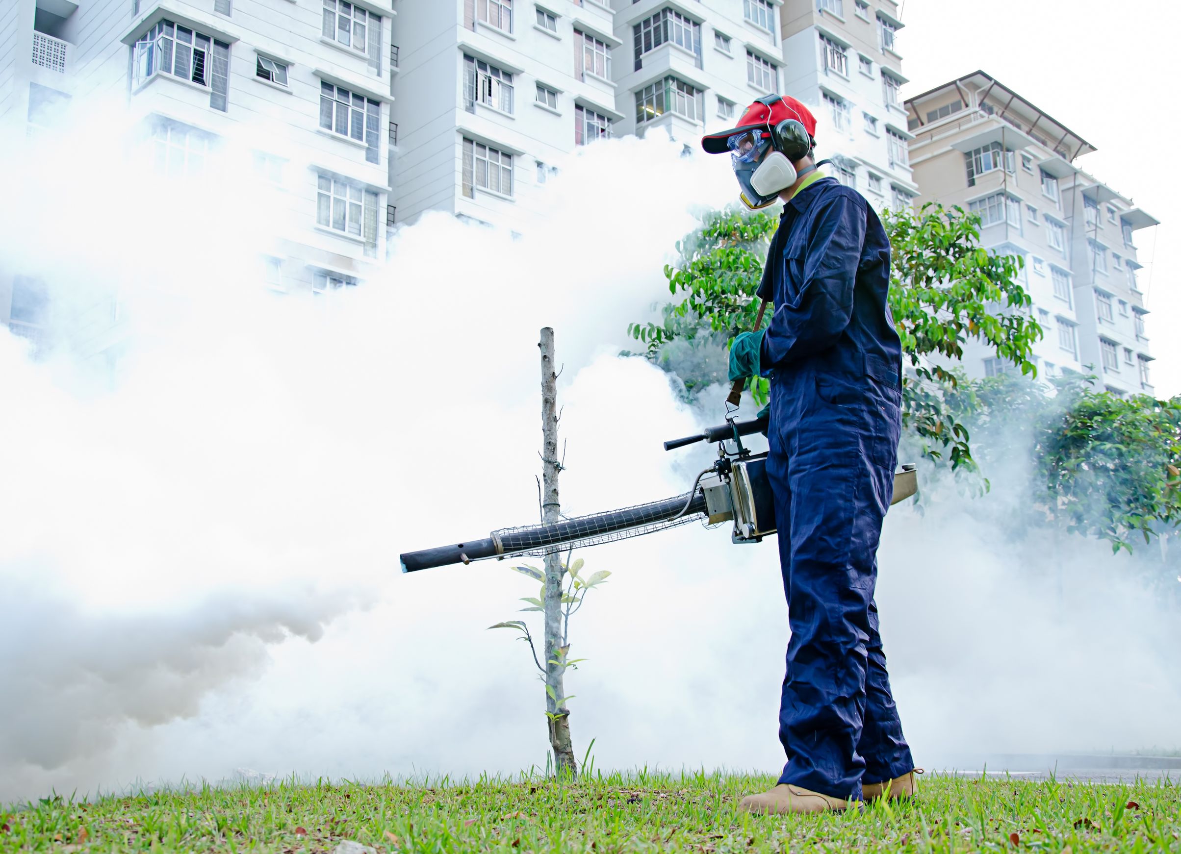 The Increasing Importance Of Mosquito Control In Des Moines IA