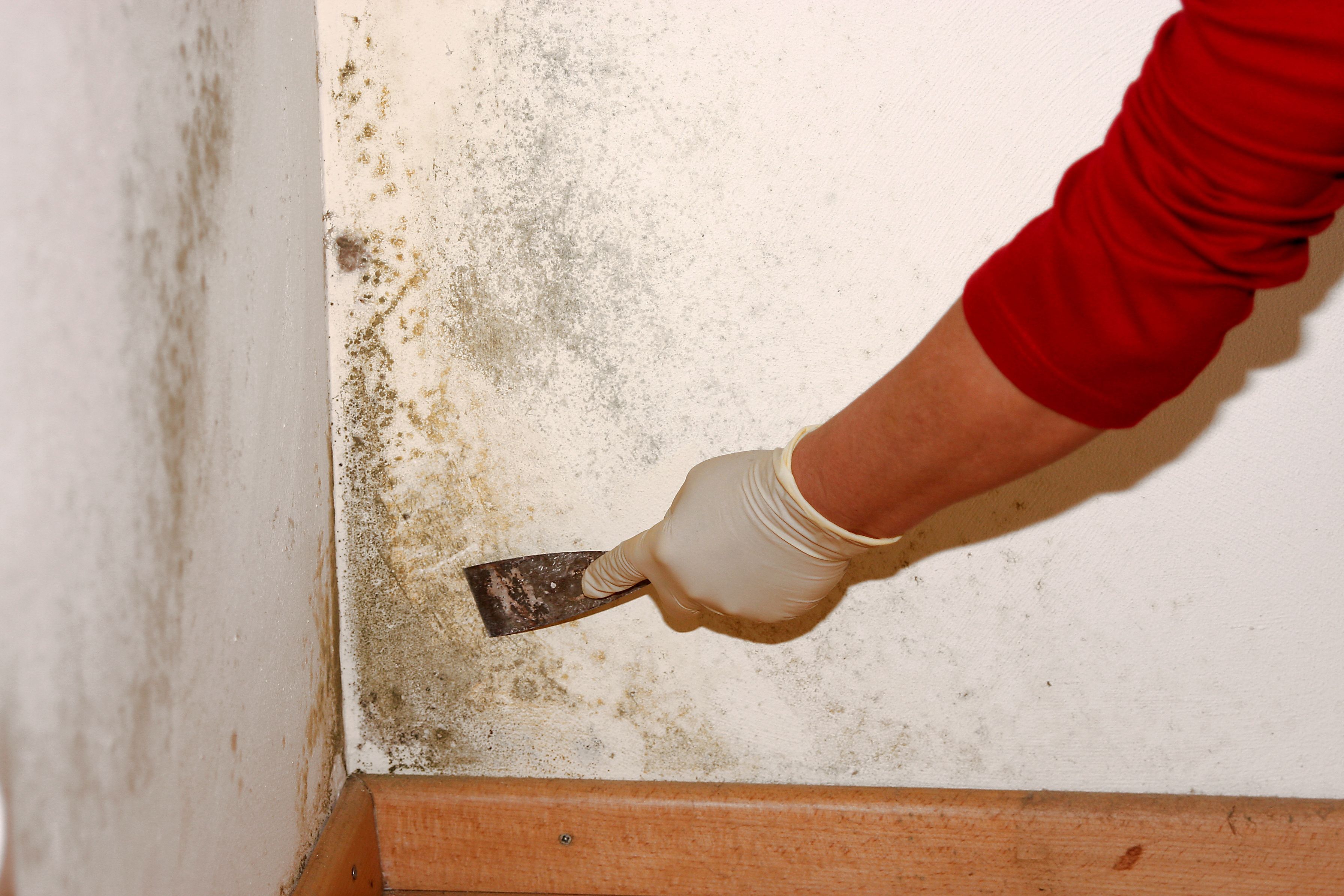 Why Hiring a Professional Fire Cleanup Crew Makes for a Better Choice
