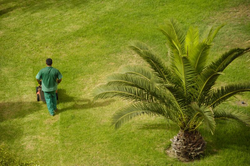 Aeration: Is There a Best Time for This Type of Lawn Care in Waukesha, WI?