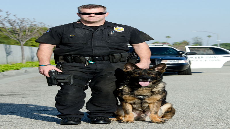 Do You Need To Go To a Miami Security School To Become A Security Guard?