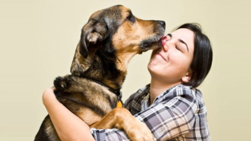 Why Choose a Veterinary Hospital that Uses Acupuncture
