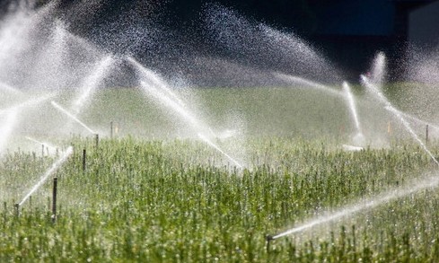 How Are Regular Maintenance And Sprinkler Repair In Spokane Helpful?