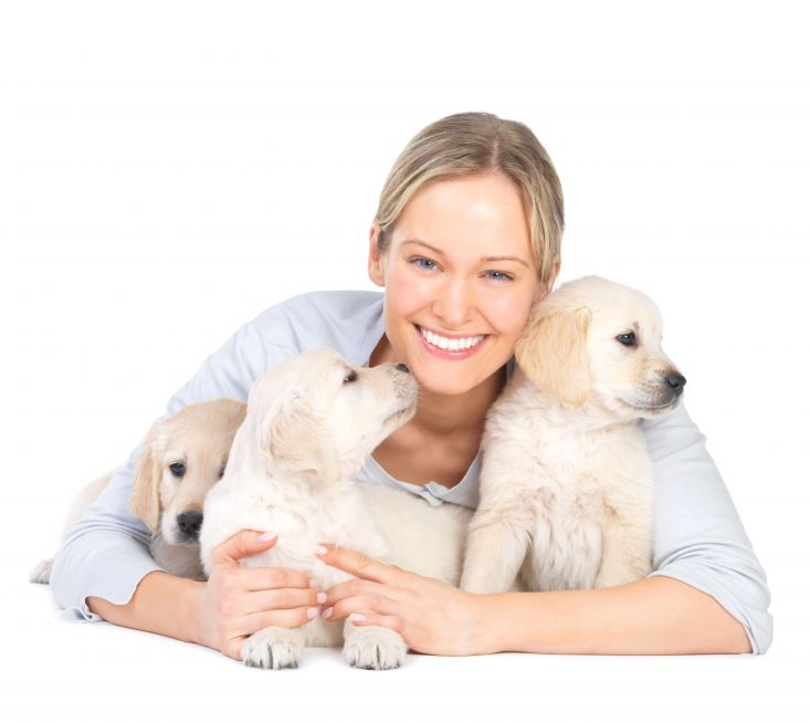 Hire Professionals for Pet Sitting in Allentown