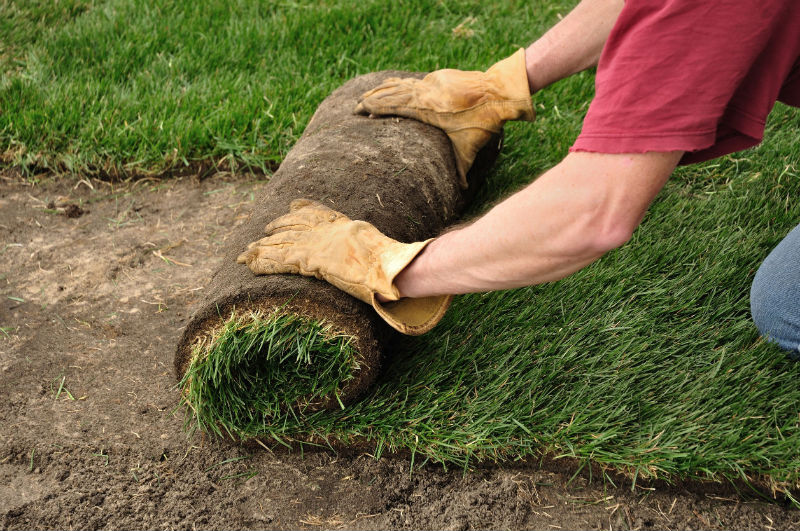 Tips for Creating the Perfect Landscape Design in Darien CT