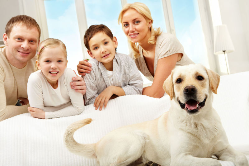 Expert Pet Care in Richmond Ensures Your Beloved Pets Will Get the Care They Deserve