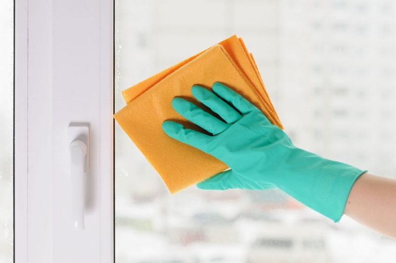 The Importance of Pest Control in Food Processing
