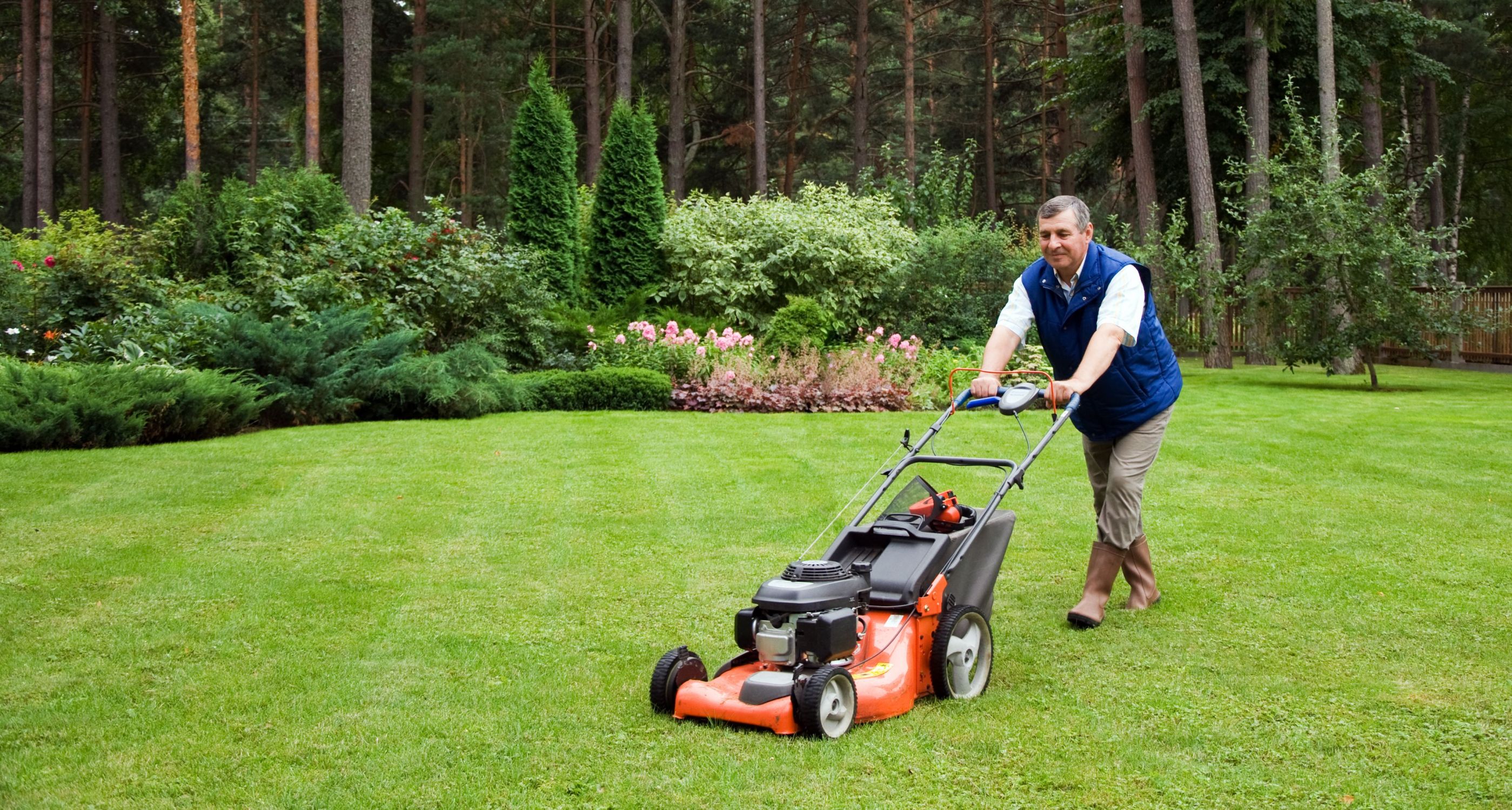 How to Choose the Right Landscaping Companies in Milwaukee WI