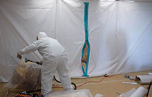The Type of Mold is Not Important: Remedying the Problem with Mold Detection Service in Ashburn VA Is
