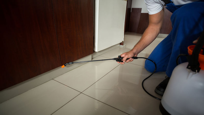 FAQs About Commercial Pest Control In Fairfax, VA