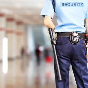 Professional Travel Security Service in West Des Moines, IA