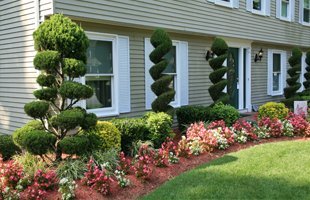 Benefits Of Hiring A Tree Service In Spokane Every Year
