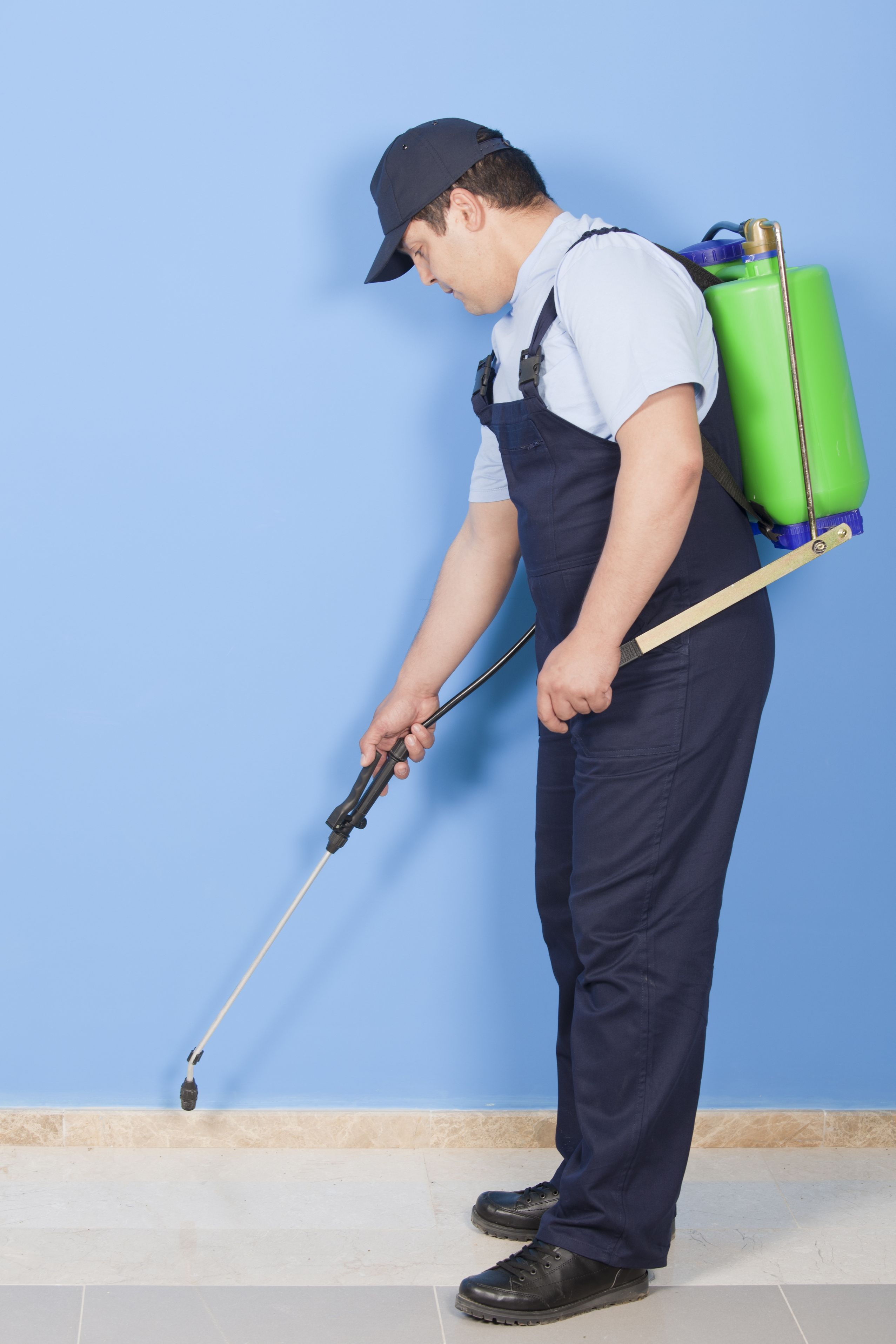 Trusting Companies That Provide Insect Extermination Services in Washington, PA Means Getting Rid of Pests Quickly