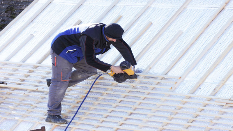Keep Your Carpet in Great Shape with Professional Carpet Cleaners in Bellingham, WA