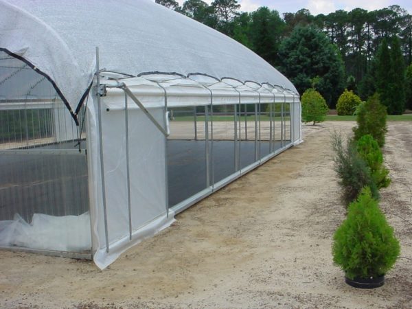 Greenhouses Are Used for a Variety of Purposes