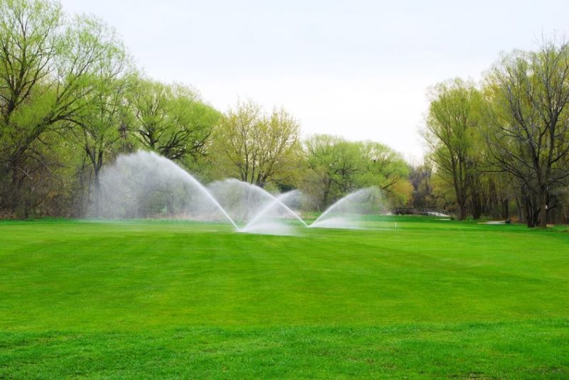 Spring Tips for Maintaining a Beautiful Landscape in Boston