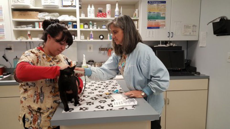 Expect More from the Best Pet Health Expert in Timonium, MD