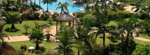 Schedule an Appointment for Quality Landscaping in Kihei