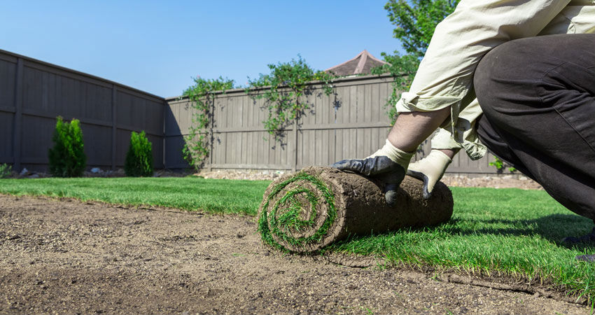Shrub Installation in Elliott City MD Often Proves Rewarding