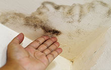 Consider Regular Mold Inspections in Ashburn VA