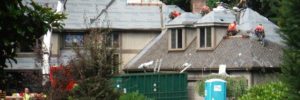 What To Know Before Getting New Roofing in Bellevue, WA