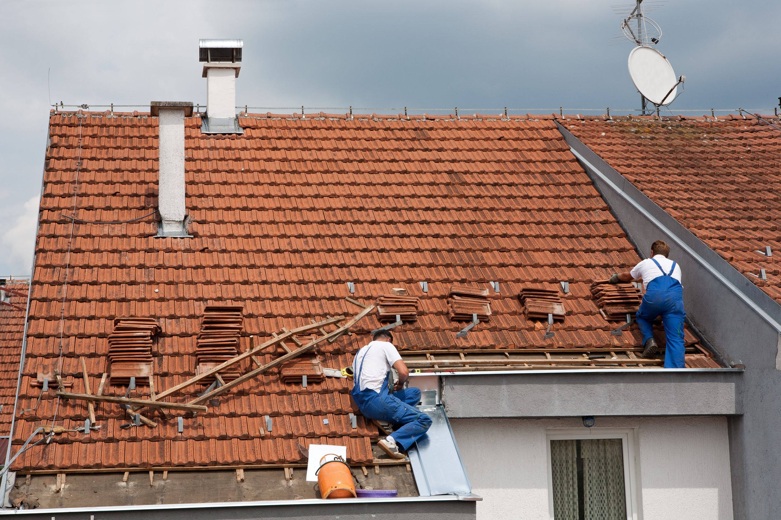 Animals Can Cause The Need For Roof Repairs In Meridian, ID