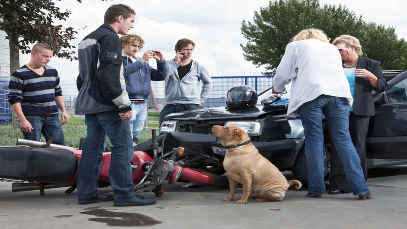Contacting an Auto Accident Attorney in Towson, MD Can Be One of the Best Moves After an Injury