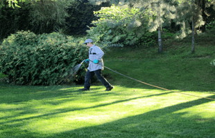 Why There Is a Demand for Professional Pest Control in Spokane