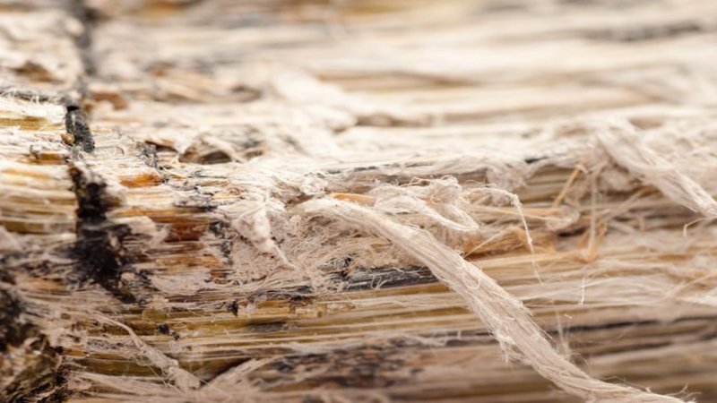 Keep Your Property Safe by Relying on Residential Asbestos Disposal Services in New Haven, CT