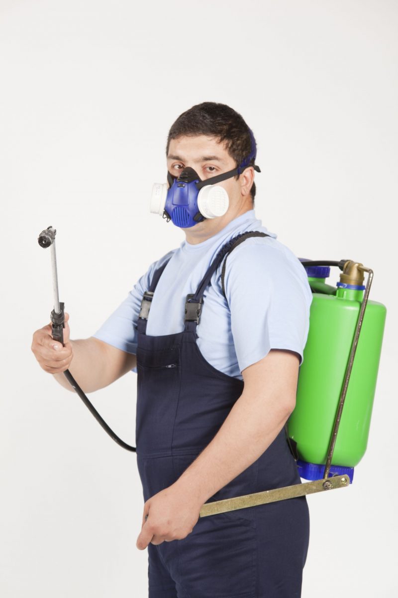 Keep Your Home Safe and Comfortable with Pest Control in Bel Air, MD