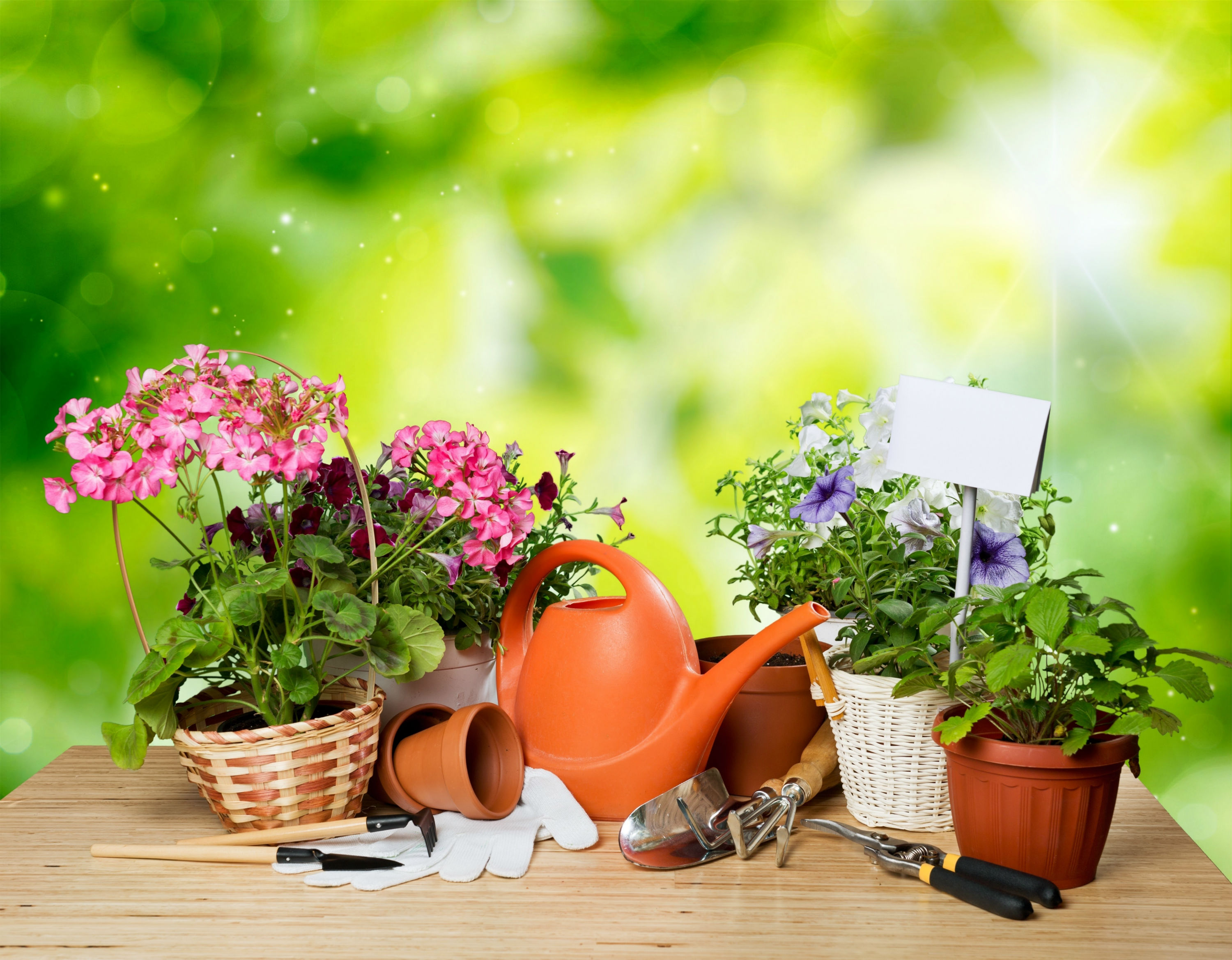 Reasons to Hire Lawn Care in Spokane Professionals