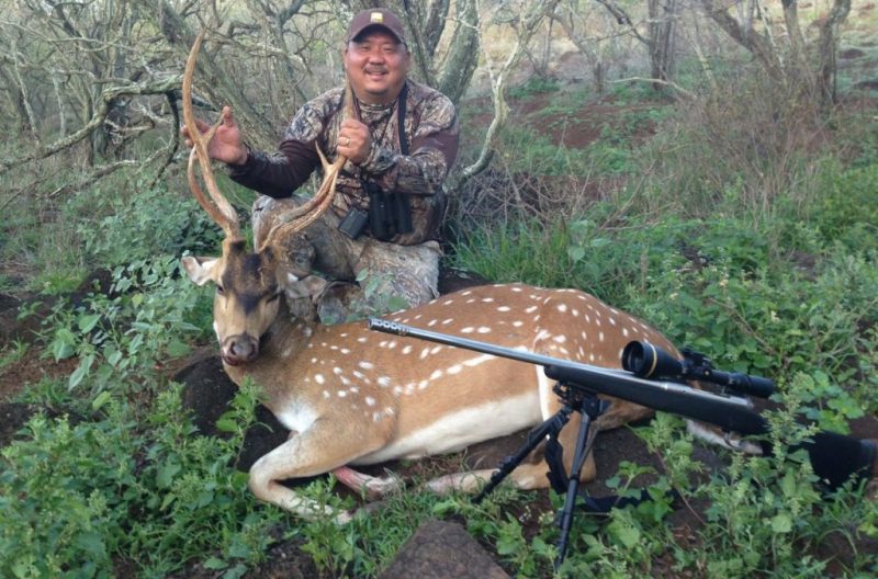 Get the Most Out of a Seguin Getaway with the Perfect Dove Hunt