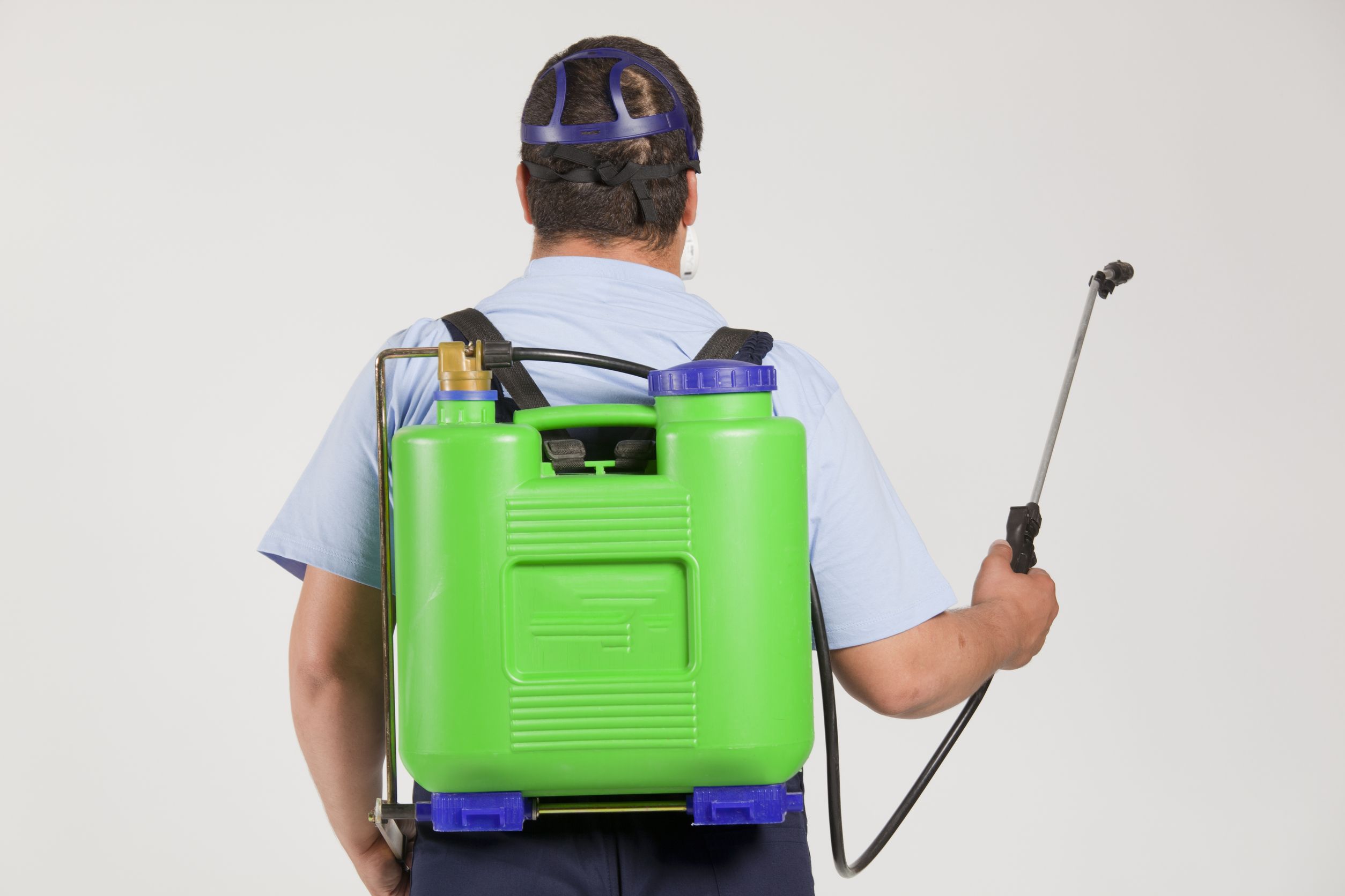 How Pest Control Services Wesley Chapel FL Help Maintain a Pest-Free Home