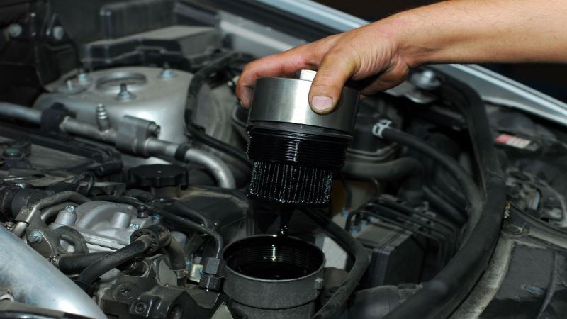 Qualifications to Consider before Hiring a Professional Auto Transport