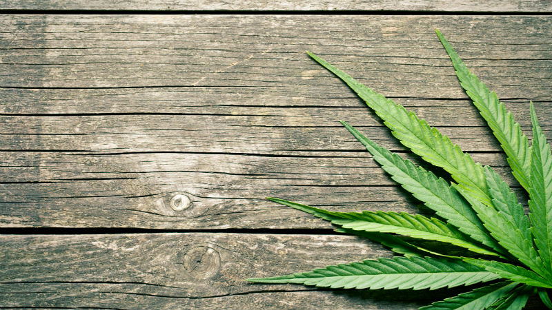What Makes Yakima Washington Cannabis Better?