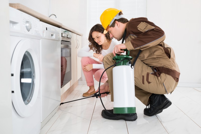 Gettin’ Buggy: A How-To on House Prep