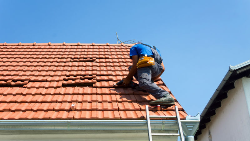 Why Hire Pressure Roof Cleaning Near Me