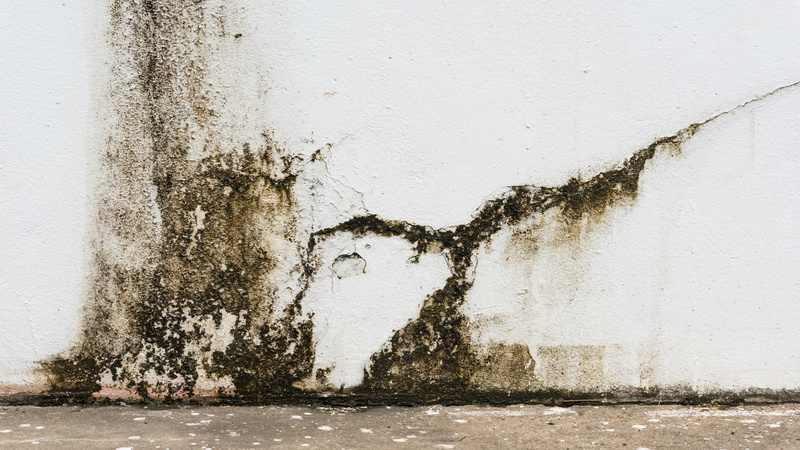 A Complete Guide for Flood Restoration in Albuquerque, NM